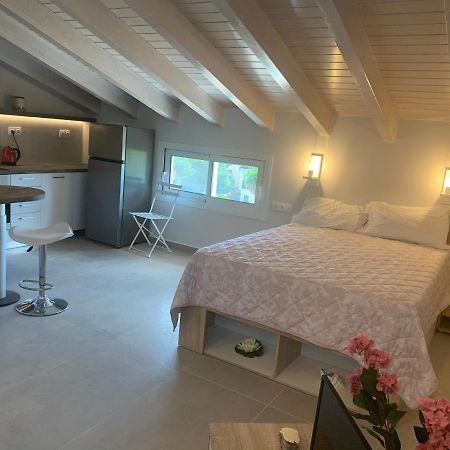 Terpsichore Boutique Bright New Sofita Studios And Appartment Dassia  Bagian luar foto