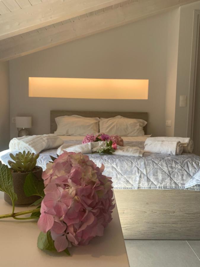 Terpsichore Boutique Bright New Sofita Studios And Appartment Dassia  Bagian luar foto