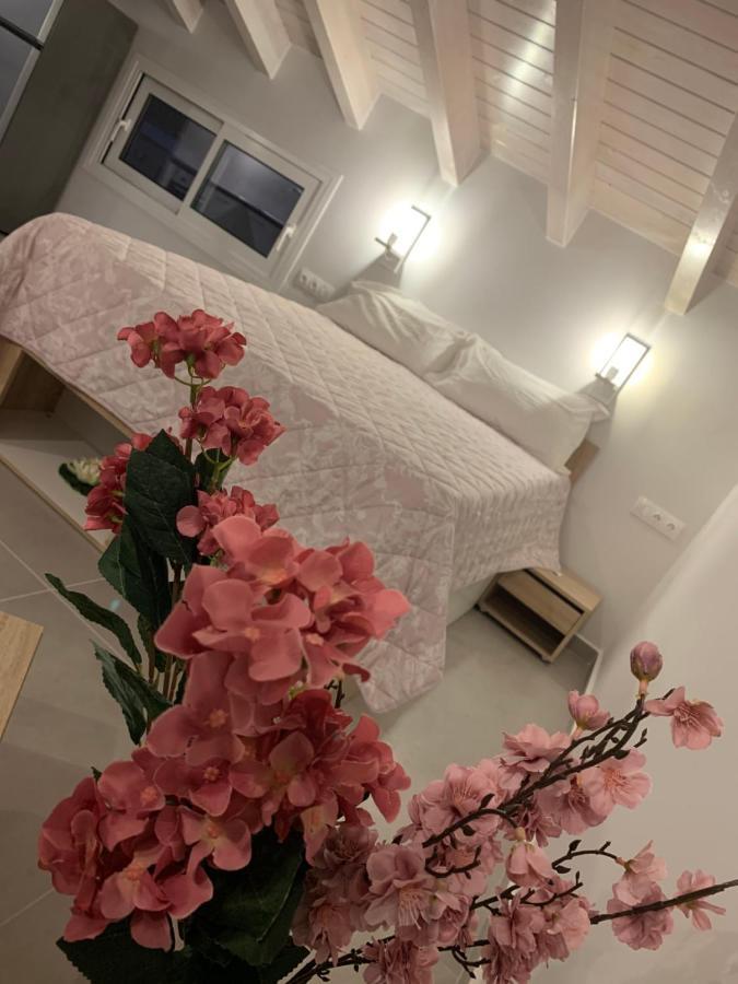 Terpsichore Boutique Bright New Sofita Studios And Appartment Dassia  Bagian luar foto